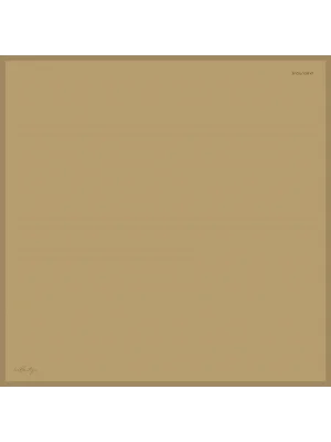 DÜZ RENK SURA İPEK - 20 - 90X90