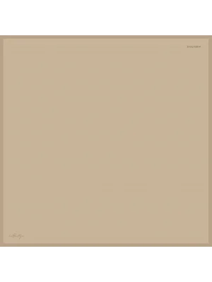 DÜZ RENK SURA İPEK - 21 - 90X90