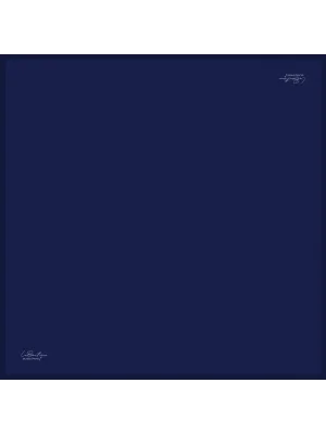 DÜZ RENK TWILL İPEK - 137 - 90X90