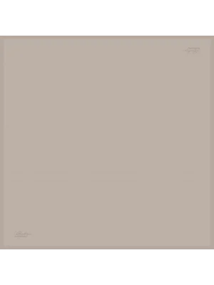 DÜZ RENK TWILL İPEK - 51/Y - 90X90