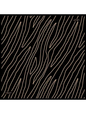 GÜZ | YAZ SERİNLİĞİ EŞARP 2036-07-90X90