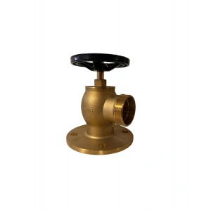 Gönye Flanşlı Vana (ANGLE) Köşe, Sadece Vana 2 (50-52MM)