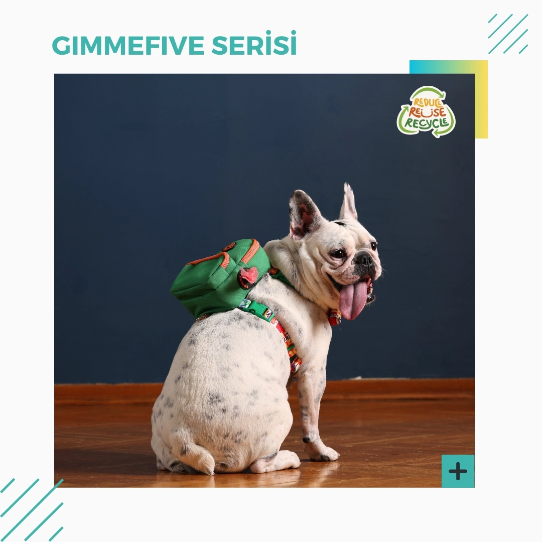Gimmefive Serisi
