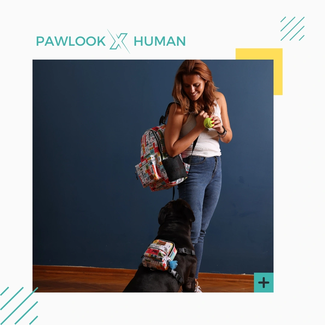 Pawlook x Human Serisi