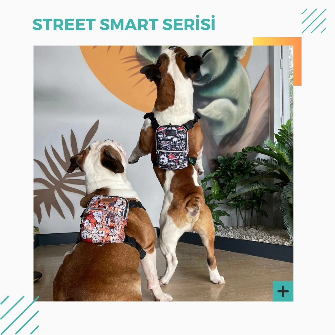 Street Smart Serisi