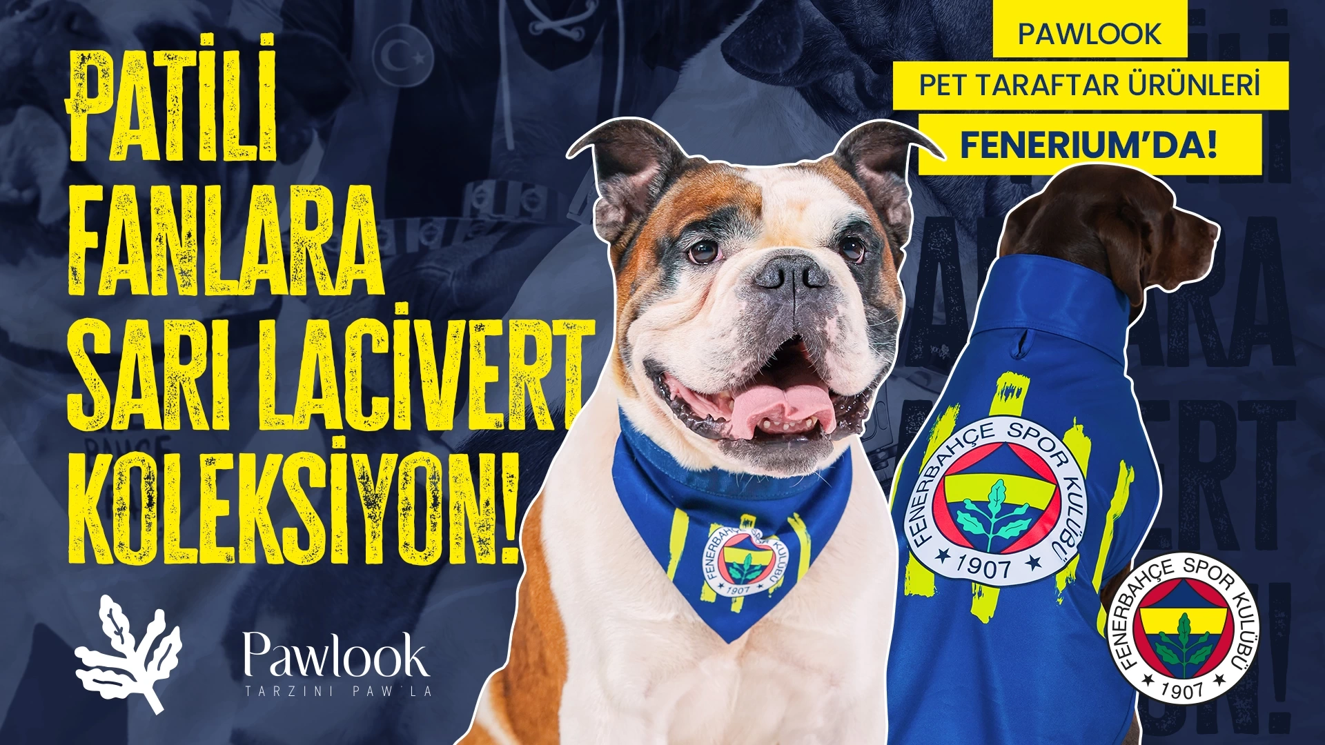 Fenerbahçe