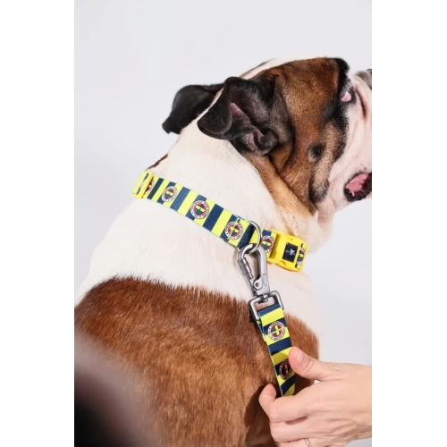 Fenerbahçe Lisanslı Köpek Boyun Tasması, Çubuklu Boyun Tasması