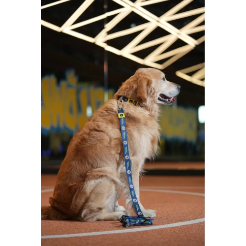 Fenerbahçe Lisanslı Köpek Gezdirme Tasması, Gezdirme Kayışı