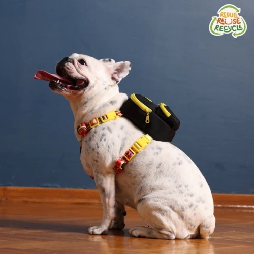 Gimme Five Serisi Siyah Köpek Çantası