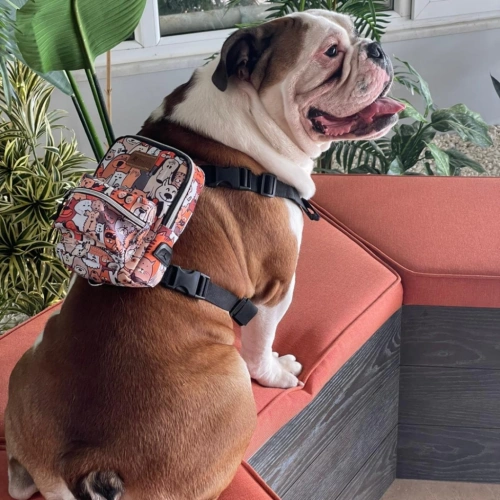 Street Smart Köpek Çantası Paws