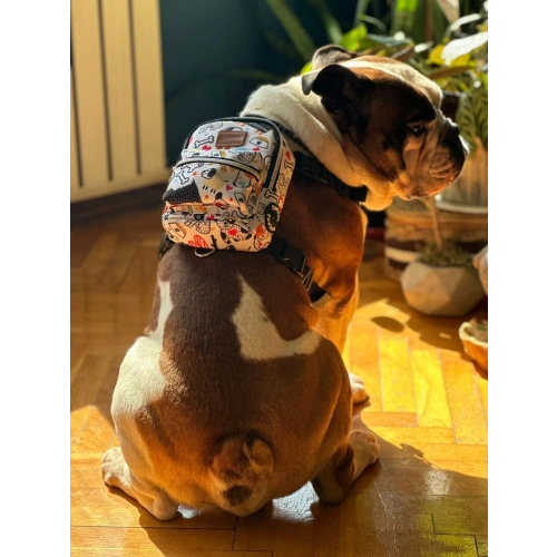 Street Smart Köpek Çantası White Bone