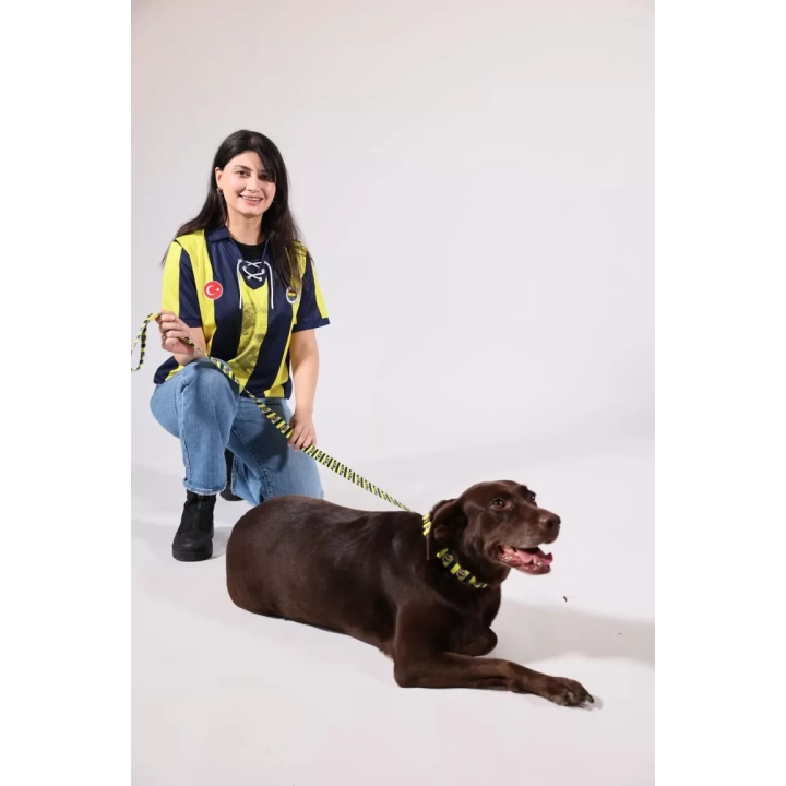 Fenerbahçe Lisanslı Köpek Gezdirme Kayışı, Gezdirme kayışı, Çubuklu