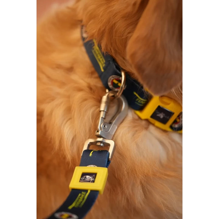 Fenerbahçe Lisanslı Köpek Gezdirme Tasması, Gezdirme Kayışı
