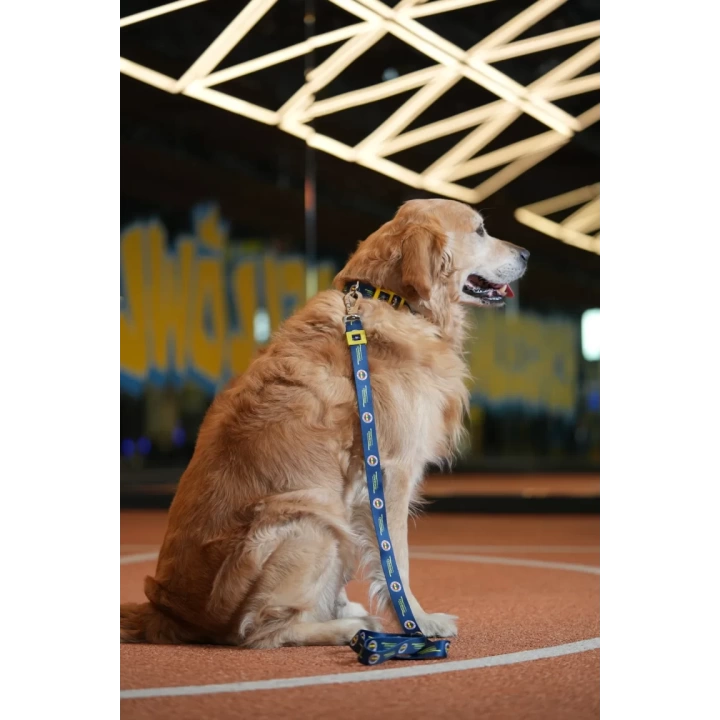 Fenerbahçe Lisanslı Köpek Gezdirme Tasması, Gezdirme Kayışı