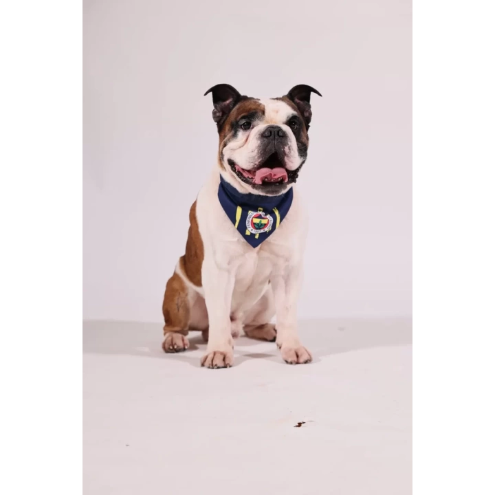 Fenerbahçe Lisanslı Pet Bandana, Köpek Bandanası