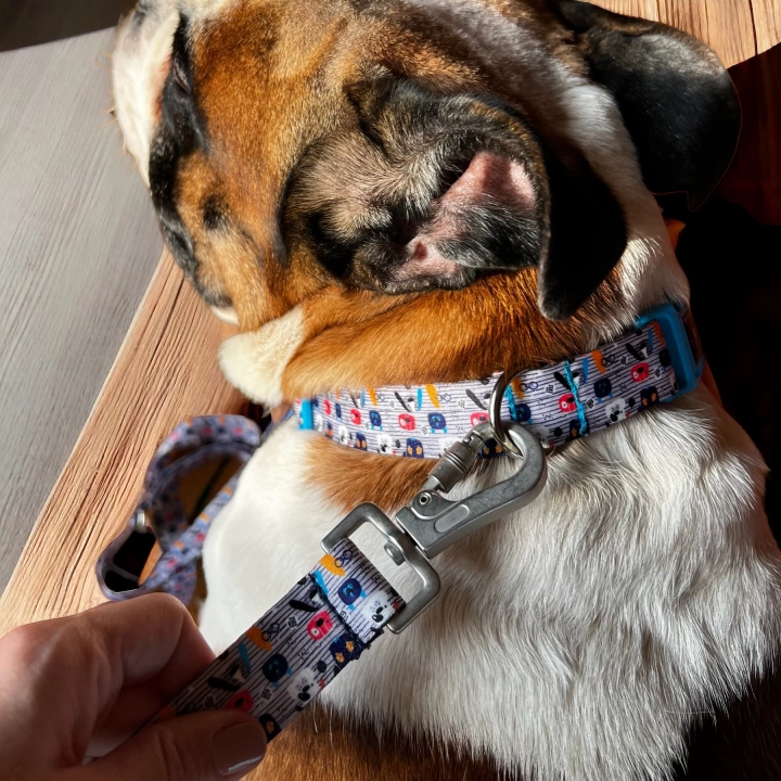 Gimme Serisi Woof Köpek Tasması