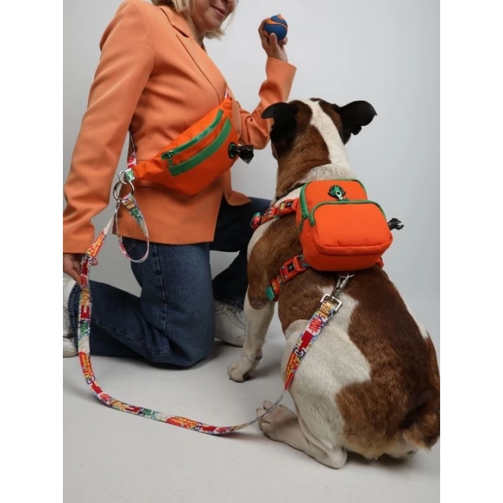 Pawlook, Handsfree Köpek Gezdirme Kayışı - FreeBag Kayış