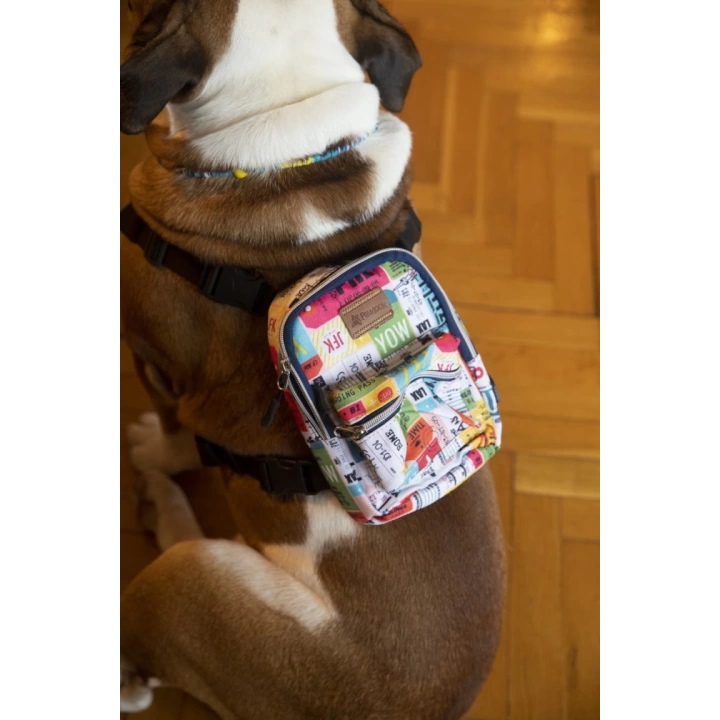 Street Smart Köpek Çantası Traveller