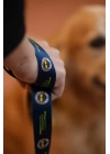 Fenerbahçe Lisanslı Köpek Gezdirme Tasması, Gezdirme Kayışı