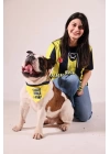 Fenerbahçe Lisanslı Pet Bandana, Köpek Bandanası Sarı