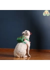 Gimme Five Serisi Yeşil Köpek Çantası