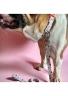 Gimme Serisi Wbone Köpek Tasması