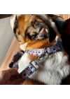 Gimme Serisi Woof Köpek Tasması