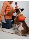 Pawlook, Handsfree Köpek Gezdirme Kayışı - FreeBag Kayış