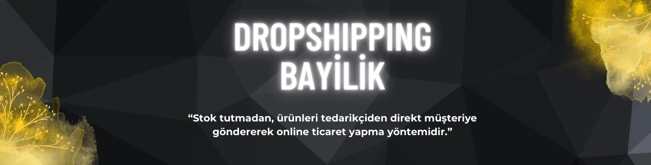 Dropshipping Bayilik