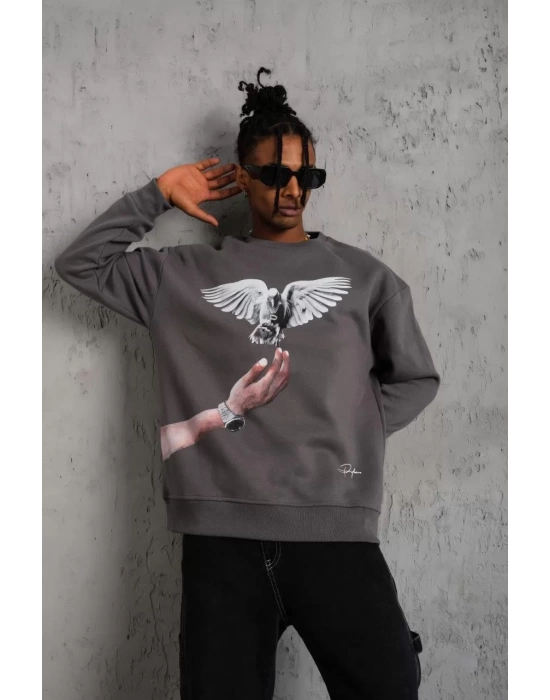 Erkek Güvercin Baskılı Sweatshirt - Gri