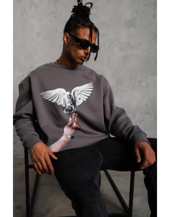 Erkek Güvercin Baskılı Sweatshirt - Gri