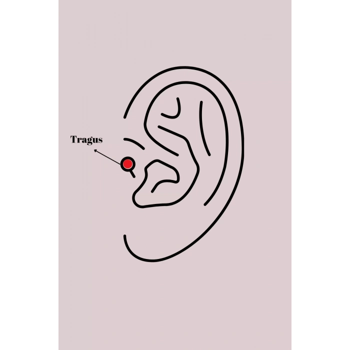 316L Çelik Gümüş Renk Zirkon Taş Detay Beyaz Çiçek Model Tragus Piercing