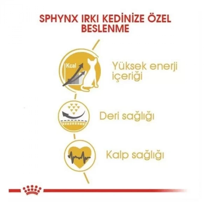 Royal Canin Tüysüz Sphynx Cinsi Yetişkin Kedi Maması 2 Kg