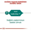 Royal Canin İnstinctive +7 Pouch Yaşlı Konserve Kedi Maması 85 Gr