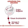 Royal Canin Medium Adult Yetişkin Köpek Maması 15 Kg