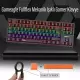 GAMEAGLE FULLFLEX MK-89X1B Rainbow Aydınlatmalı Oyuncu Gamer Gerçek Mekanik Işıklı Klavye Türkçe Q (Blue Switch)
