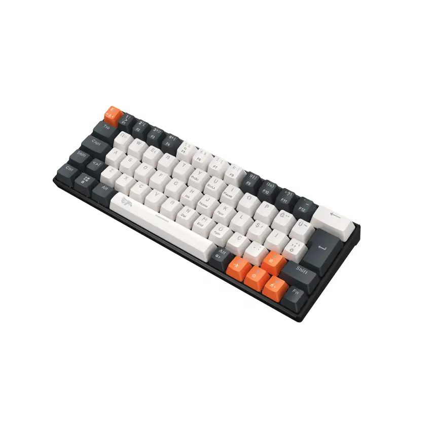 Gameagle Neopulse MK-64X2ABB Mekanik Kablolu Işıklı Klavye