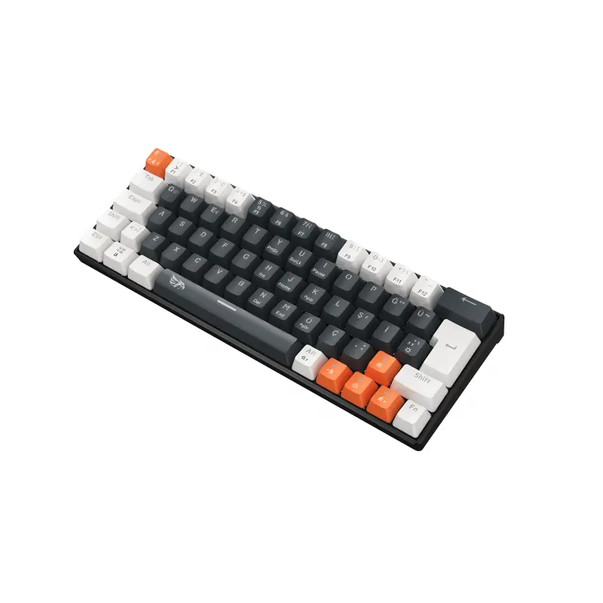 Gameagle Neopulse Rainbow Kablolu TR Layout Mekanik Oyuncu Klavyesi Blue Switch Siyah