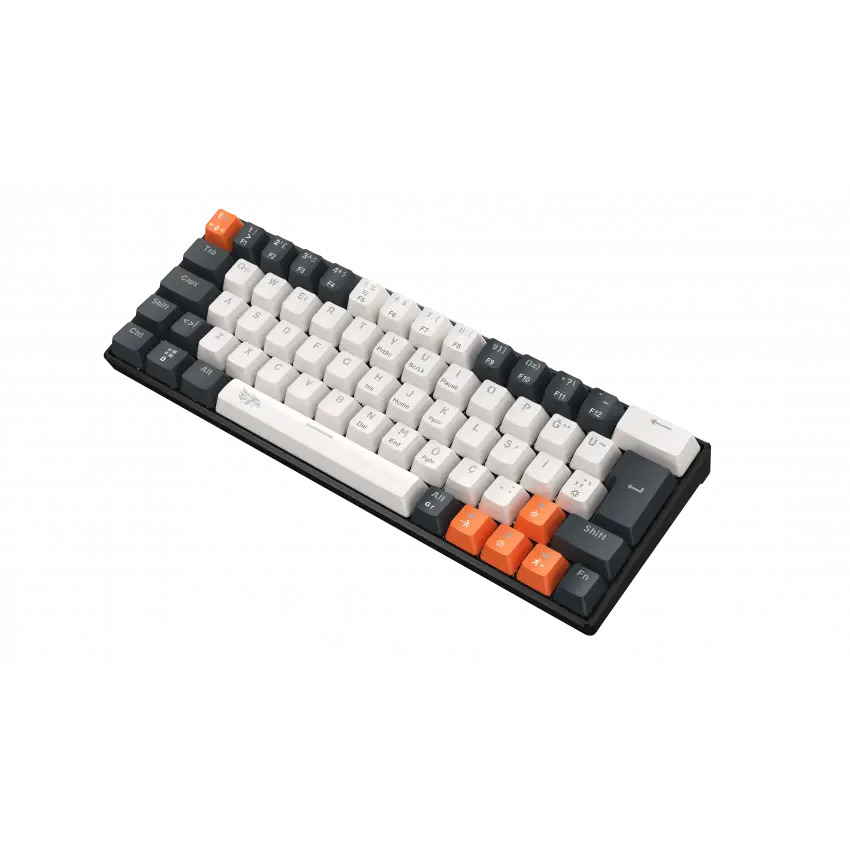 Gameagle Neopulse Rainbow Kablolu TR Layout Mekanik Oyuncu Klavyesi Blue Switch Beyaz