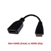 Mini HDMI (Erkek) to HDMI (Dişi), Altın Uçlu Kablolu Dönüştücü