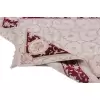 İran Feshane 242X169 4,09 M² El Dokuma Halı