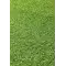 Doğal Görünümlü Suni / Yapay Çim ( 50mm - 2795 gram )