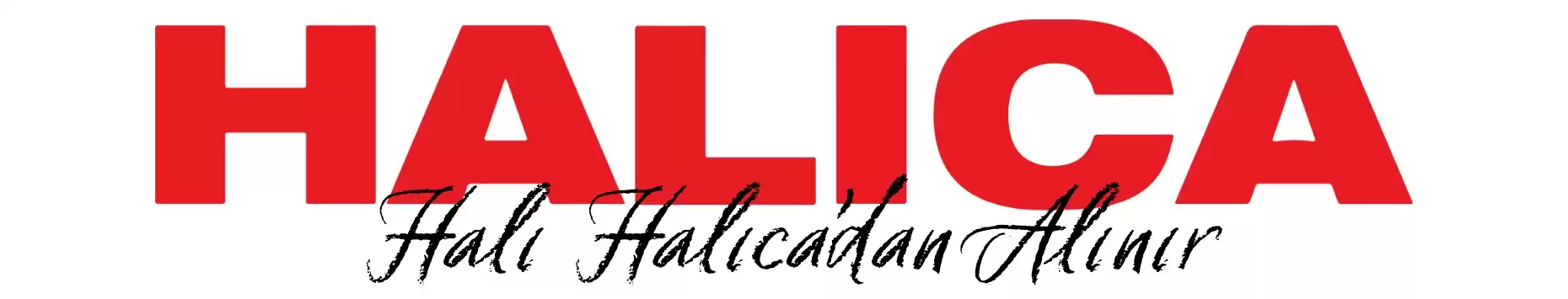 header desktop logo