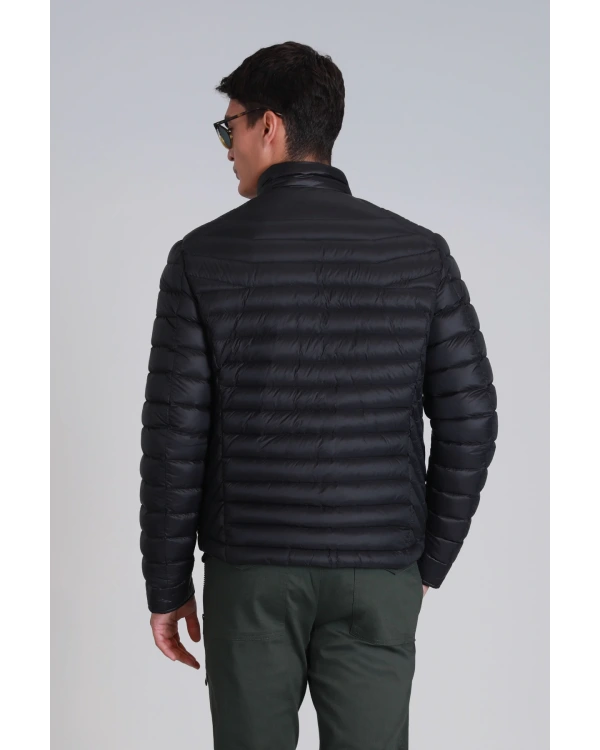 Lufian Andy Mont 112120215