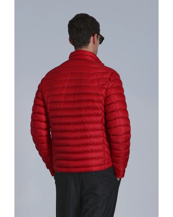 Lufian Andy Mont 112120215