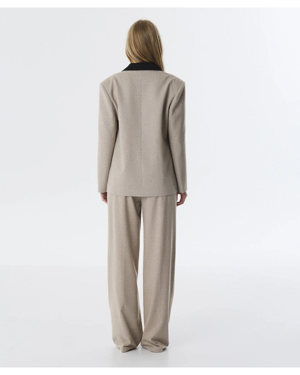 Twist Fiyonk Aplikeli Blazer Ceket TW6250106011