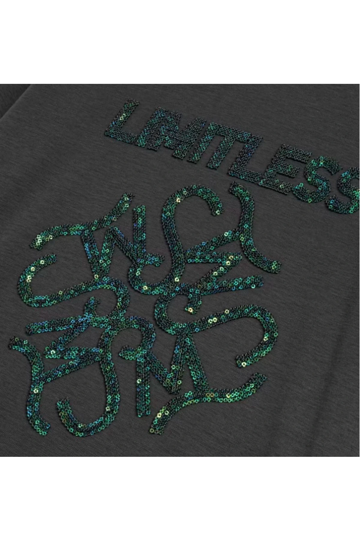 Twist Payet İşlemeli T-Shirt TS1250070232