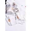 Aslan Desenli Uzun Kol 2li Erkek Bebek Body