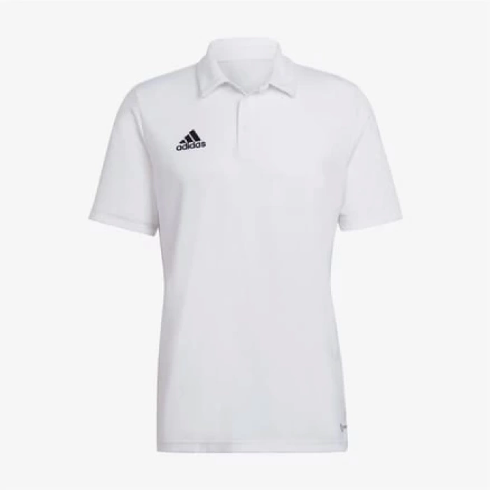 Adidas Entrada 22 Polo Erkek Polo Yaka Tişört