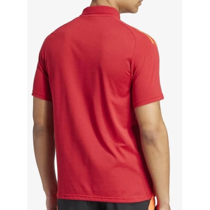 Adidas Tıro24 C Polo Erkek Polo Yaka Tişört